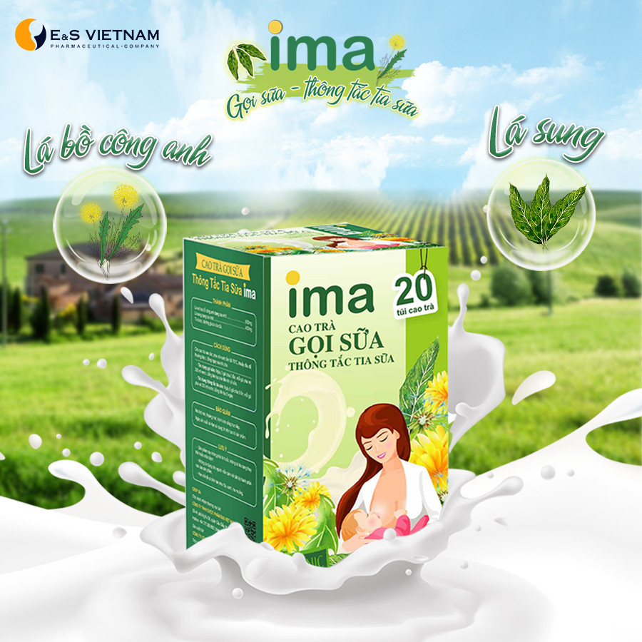 Uống cao trà kích sữa IMA là bước vô cùng quan trọng của phương pháp Newman