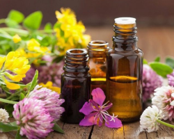 7 loại tinh dầu nên có ở nhà để tẩy uế, xông phòng